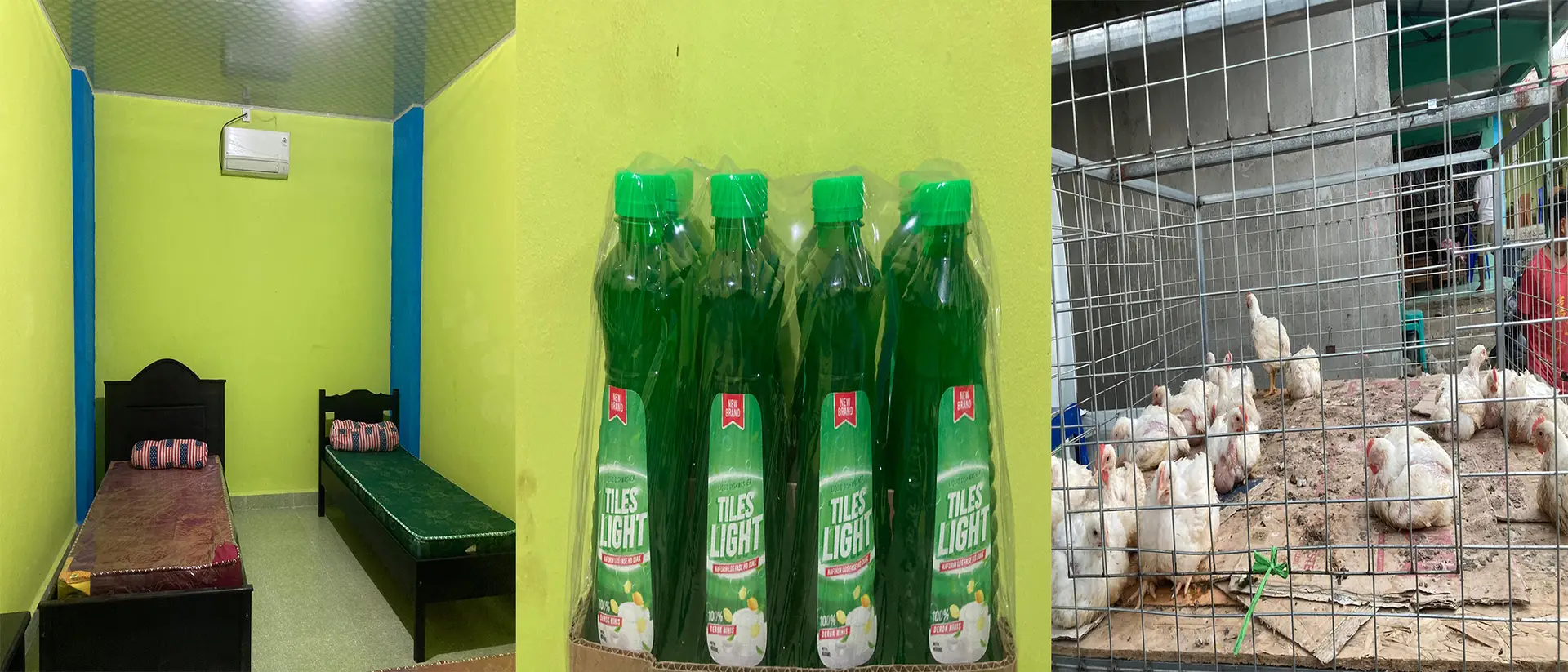 Missaun, Visaun no Historia kompañia husi VIDGA (vida Dario Gama )